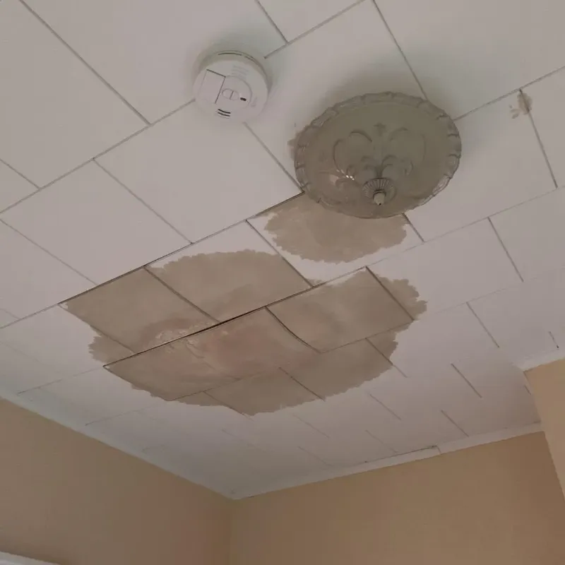 Ceiling Water Damage Repair in Fox Run, PA