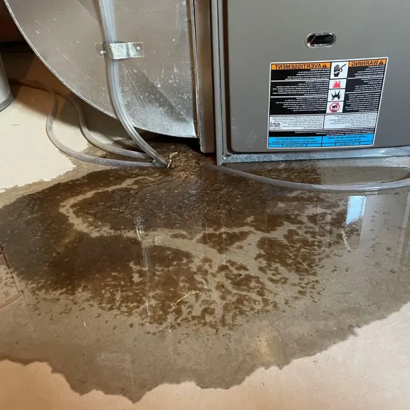 Pipe Burst and Leak Restoration in Fox Run, PA