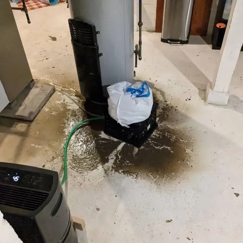 Sewage Backup Cleanup Service in Fox Run, PA